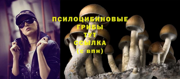 apvp Нея