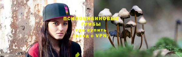 стаф Абдулино