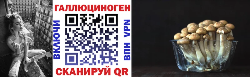 продажа наркотиков Чегем Галлюциногенные грибы ЛСД